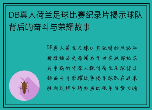 DB真人荷兰足球比赛纪录片揭示球队背后的奋斗与荣耀故事